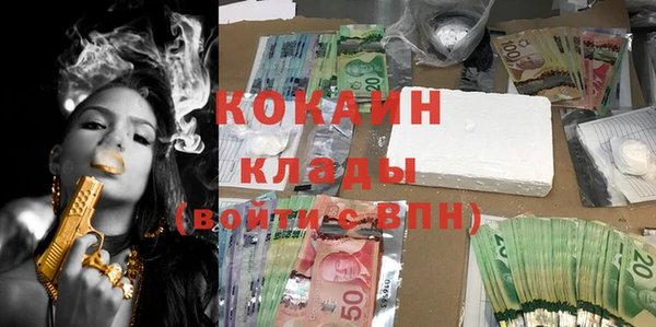 ПСИЛОЦИБИНОВЫЕ ГРИБЫ Алексин