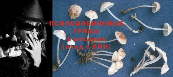 ПСИЛОЦИБИНОВЫЕ ГРИБЫ Алексин