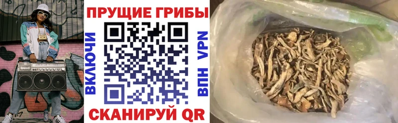 Галлюциногенные грибы MAGIC MUSHROOMS  Могоча 